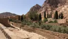 Panoramic desert landscape at Mount Sinai